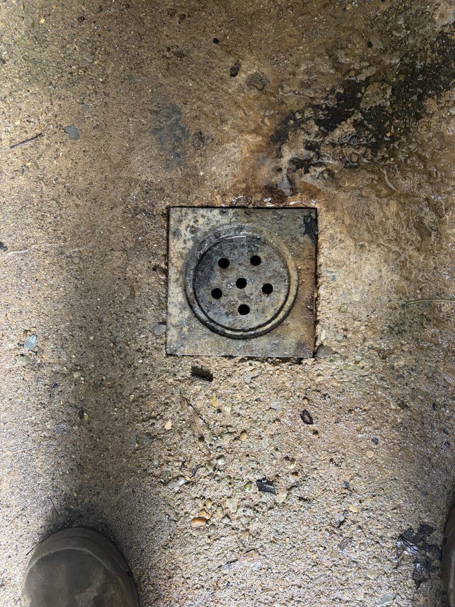 After: the same drain cleared and flowing — DE Plumbing