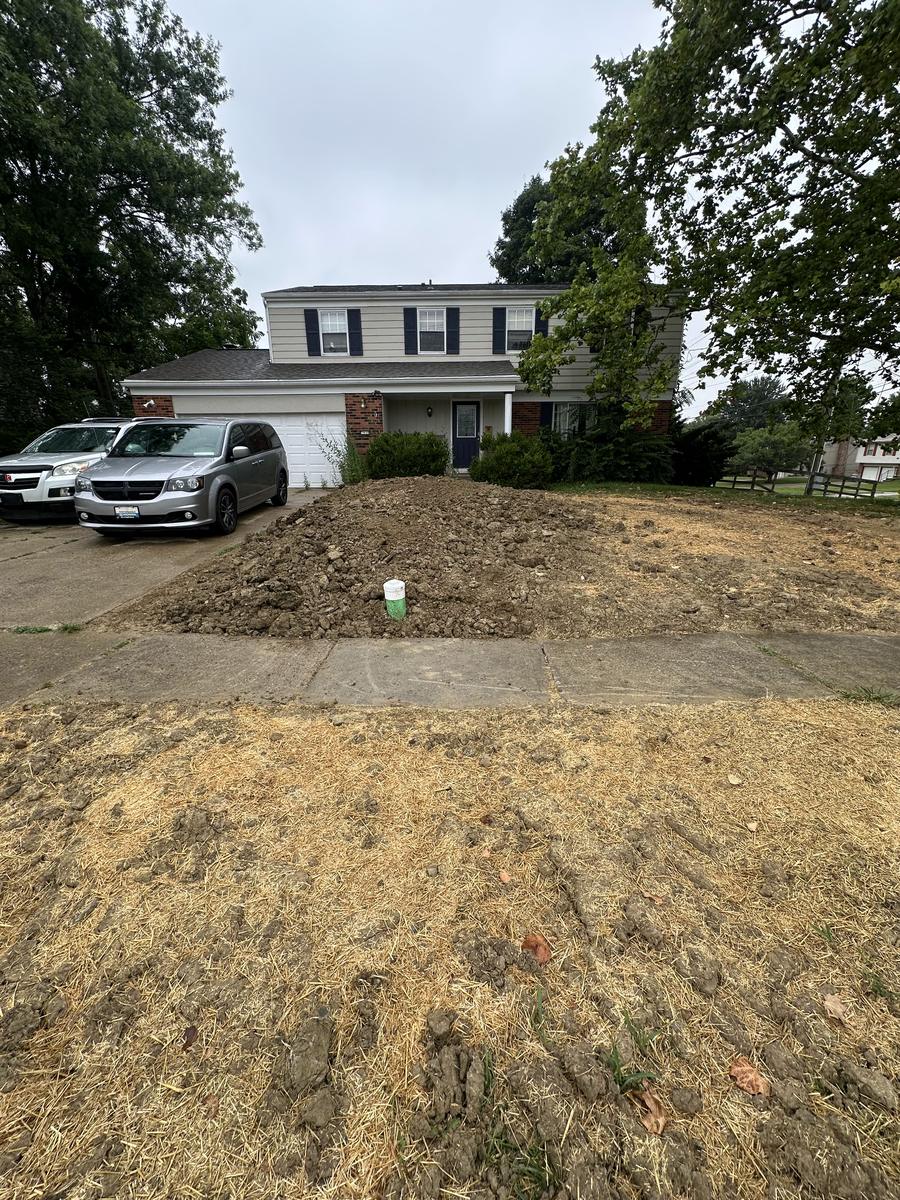 After: yard backfilled, graded, and seeded following the sewer line replacement